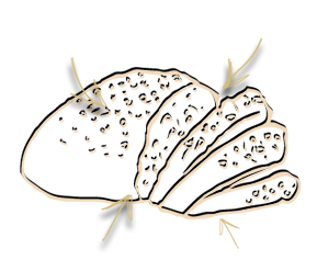 bread ingredients illustration